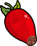 Rose Hip