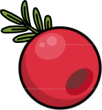 Yew Berry